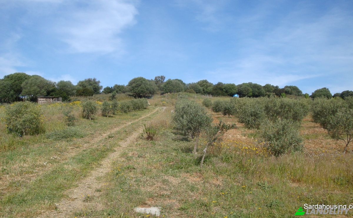 Farm/Ranch for Sale Strada Senza Nome, 09040 Donori CA, Villasalto, Metropolitan City of Cagliari, Sardinia, Italy. Photo 13