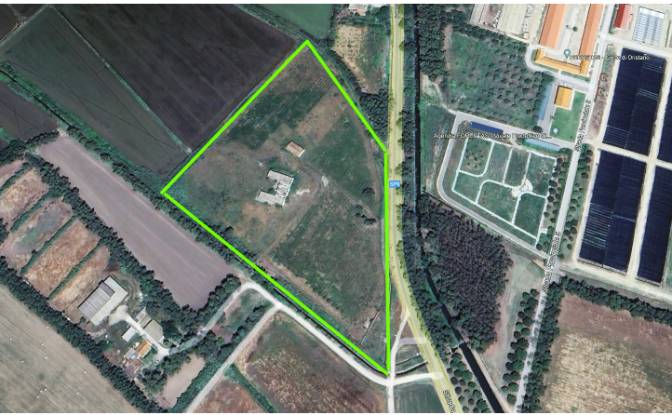 Farm/Ranch for Sale SP9, 09170 Oristano OR. Photo#25 Farm/Ranch for Sale SP9, 09170 Oristano OR. Photo#25