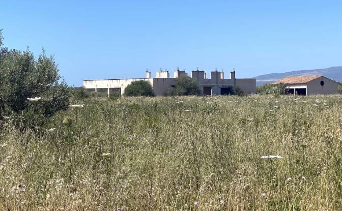 Farm/Ranch for Sale SP9, 09170 Oristano OR. Photo#3 Farm/Ranch for Sale SP9, 09170 Oristano OR. Photo#3