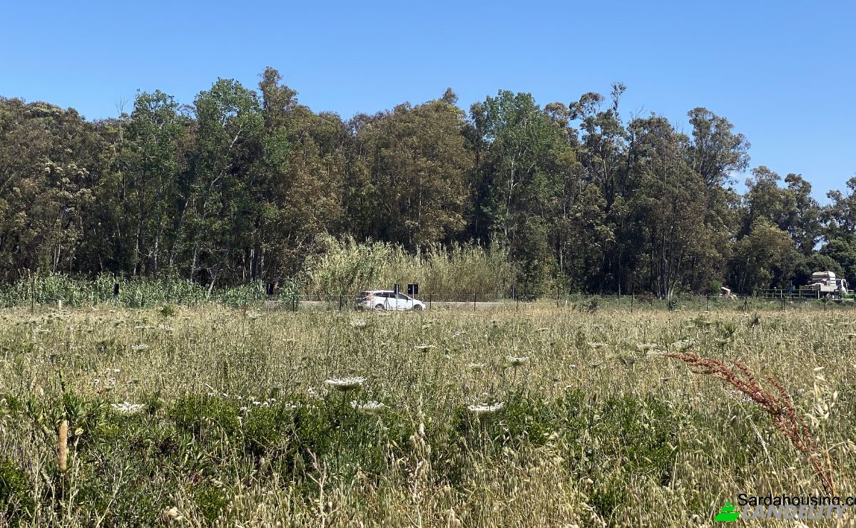 Farm/Ranch for Sale SP9, 09170 Oristano OR, Oristano, Province of Oristano, Sardinia, Italy. Photo 5