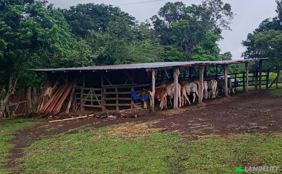 Farma/Ranczo na sprzedaż Calle 4, Provincia de Guanacaste, Tierras Morenas, Tilaran, Guanacaste Province, Costa Rica. Zdjęcie 2
