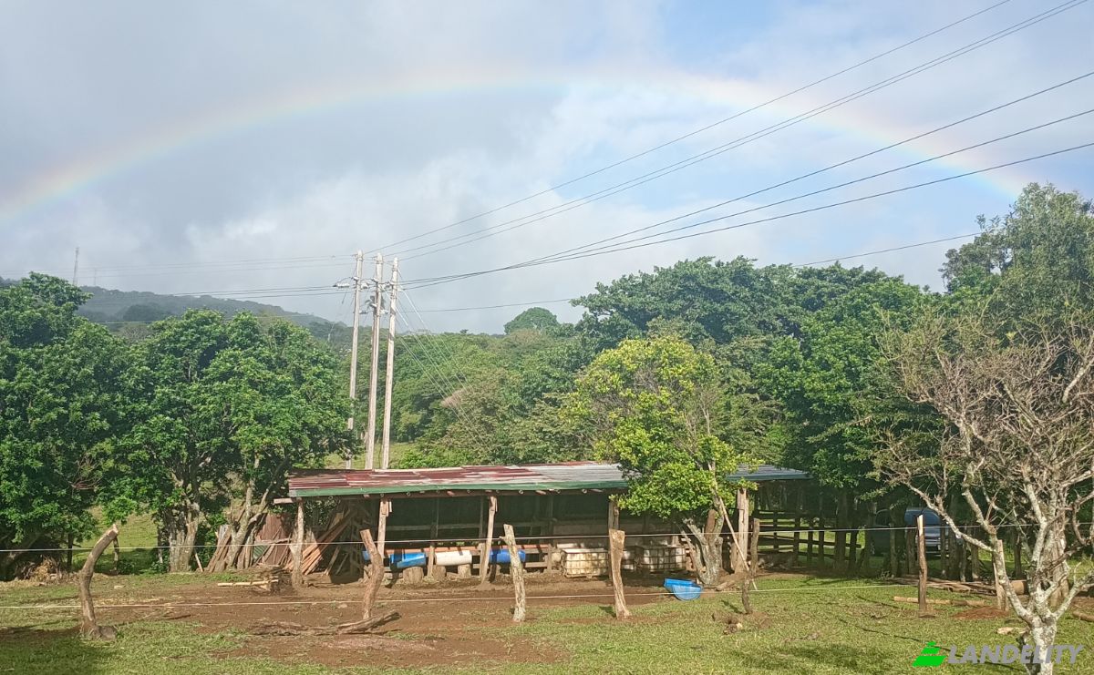 Farma/Ranczo na sprzedaż Calle 4, Provincia de Guanacaste, Tierras Morenas, Tilaran, Guanacaste Province, Costa Rica. Zdjęcie 4