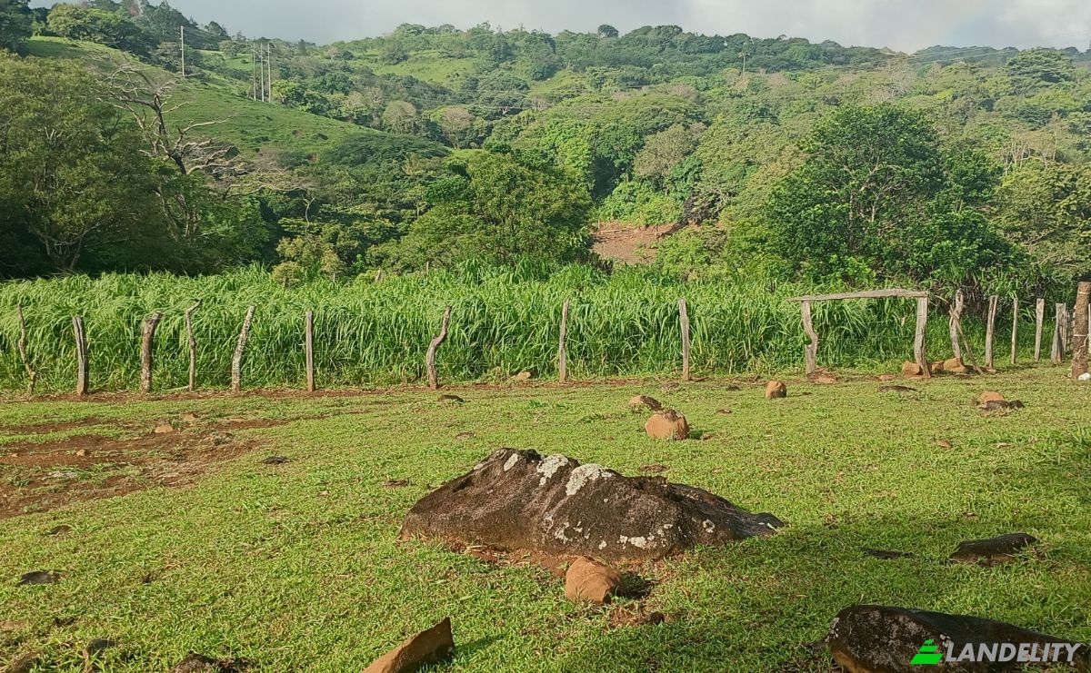 Farma/Ranczo na sprzedaż Calle 4, Provincia de Guanacaste, Tierras Morenas, Tilaran, Guanacaste Province, Costa Rica. Zdjęcie 5
