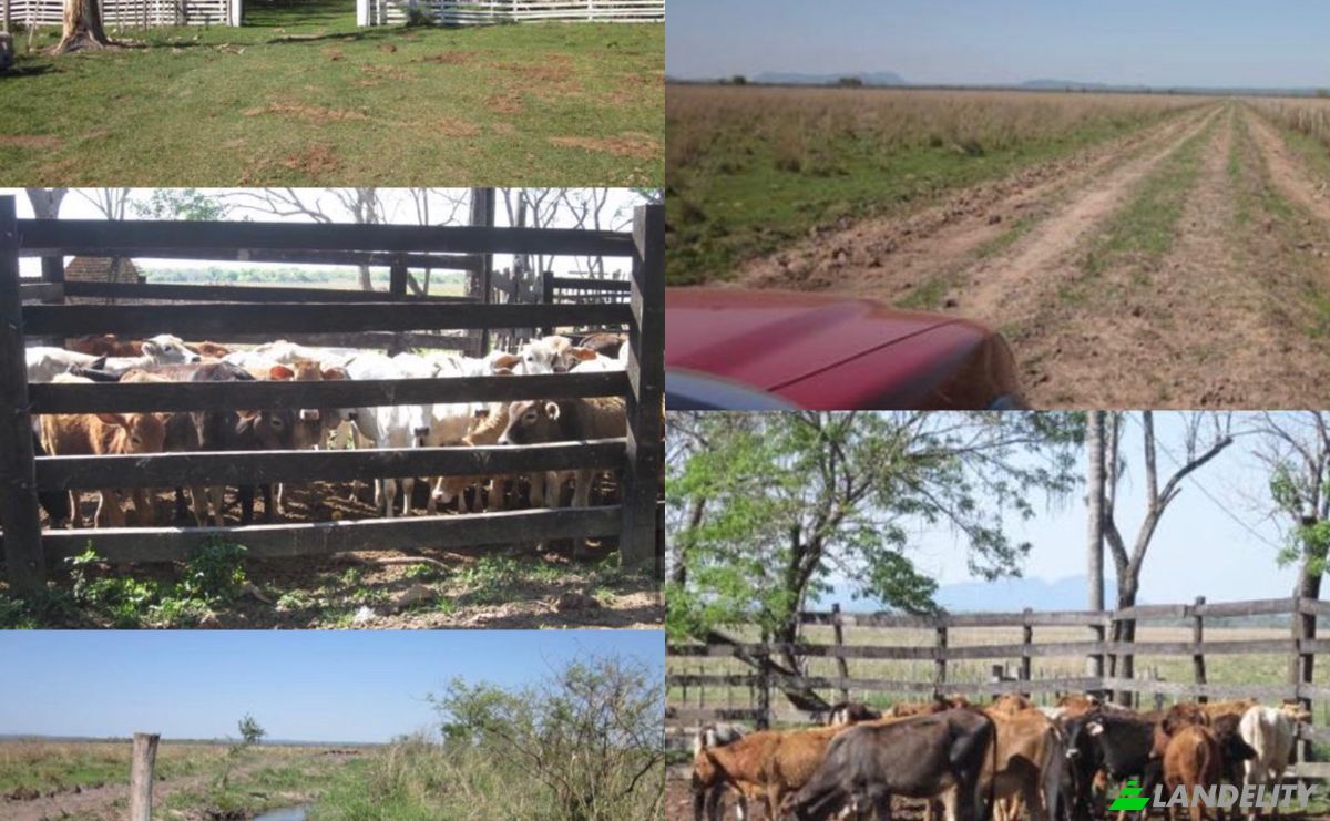 Investimento/Desenvolvimento à venda Via Sin Nombre, 091515, Nandua, Yaguaron, Paraguari Department, Paraguay. foto 2
