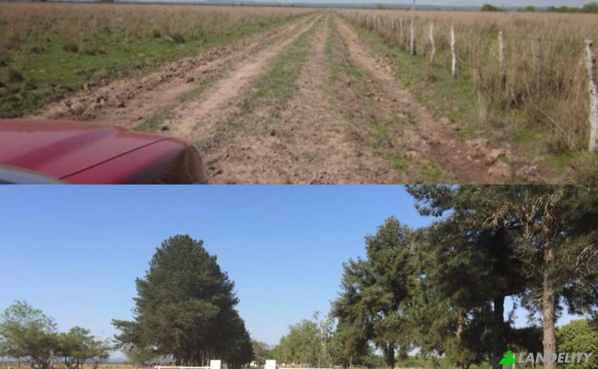 Investimento/Desenvolvimento à venda Via Sin Nombre, 091515, Nandua, Yaguaron, Paraguari Department, Paraguay. foto 6