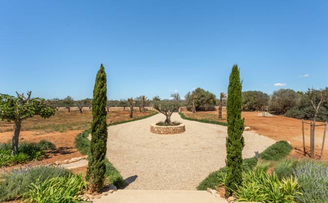 Mansion for Sale Diseminado Son Llado, Campos. Photo#20 Mansion for Sale Diseminado Son Llado, Campos. Photo#20