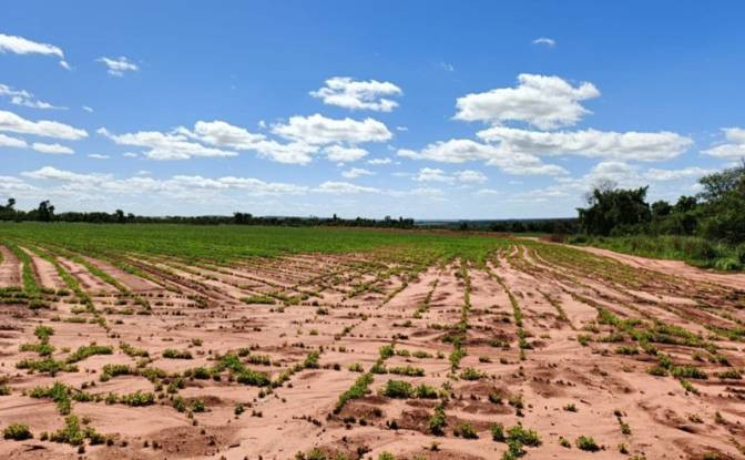 Investing/Development for Sale Via Sin Nombre. Photo#2 Investing/Development for Sale Via Sin Nombre. Photo#2