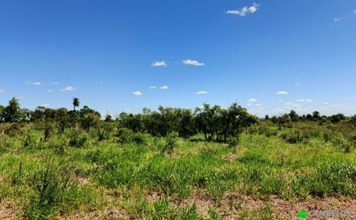 Investing/Development for Sale Via Sin Nombre, Laguna Vera 051115, Laguna Vera, Yhu, Caaguazu Department, Paraguay. Photo 3