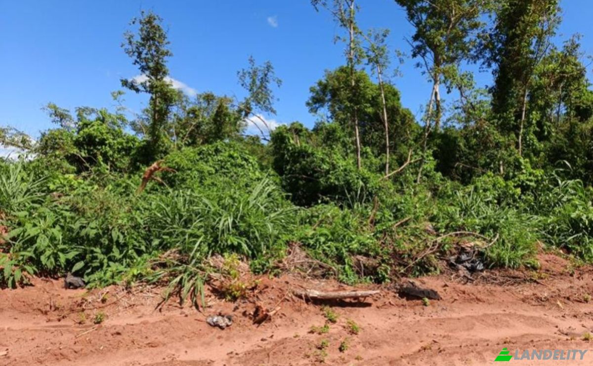 Investing/Development for Sale Via Sin Nombre, Laguna Vera 051115, Laguna Vera, Yhu, Caaguazu Department, Paraguay. Photo 4