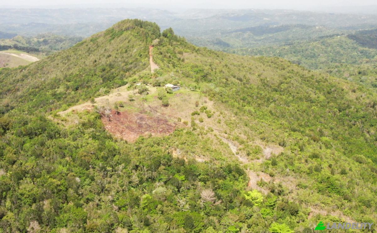 Lote de terreno à venda C Rancho Monte De Sion, 56000, Villa Magante, Gaspar Hernandez, Espaillat Province, Dominican Republic. foto 12