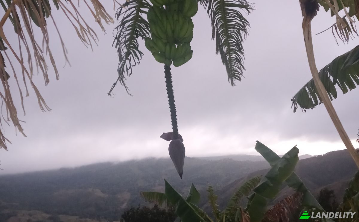 Lote de terreno à venda C Rancho Monte De Sion, 56000, Villa Magante, Gaspar Hernandez, Espaillat Province, Dominican Republic. foto 4
