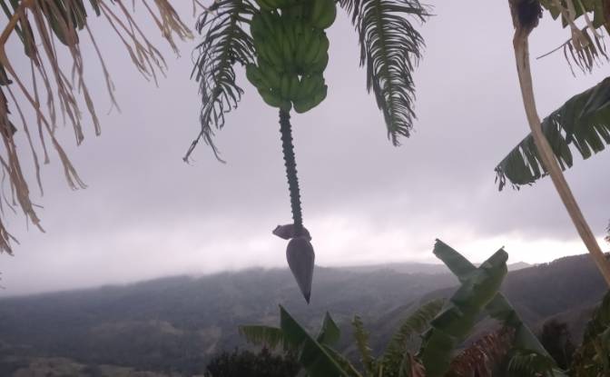 Lote de terreno à venda C Rancho Monte De Sion. foto#4