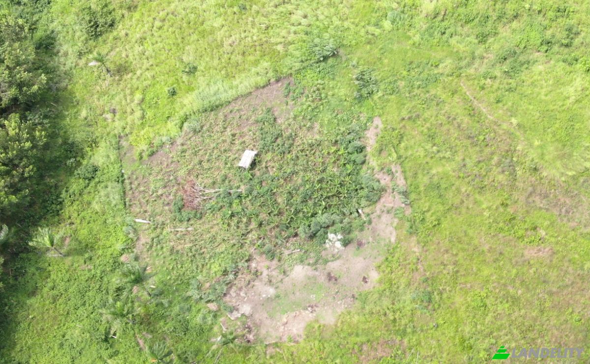 Lote de terreno à venda C Rancho Monte De Sion, 56000, Villa Magante, Gaspar Hernandez, Espaillat Province, Dominican Republic. foto 6