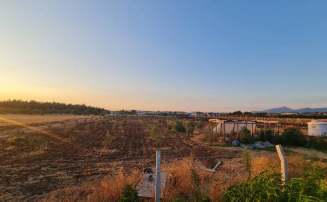 Land Lot for Sale - Menderes Izmir, Turkiye