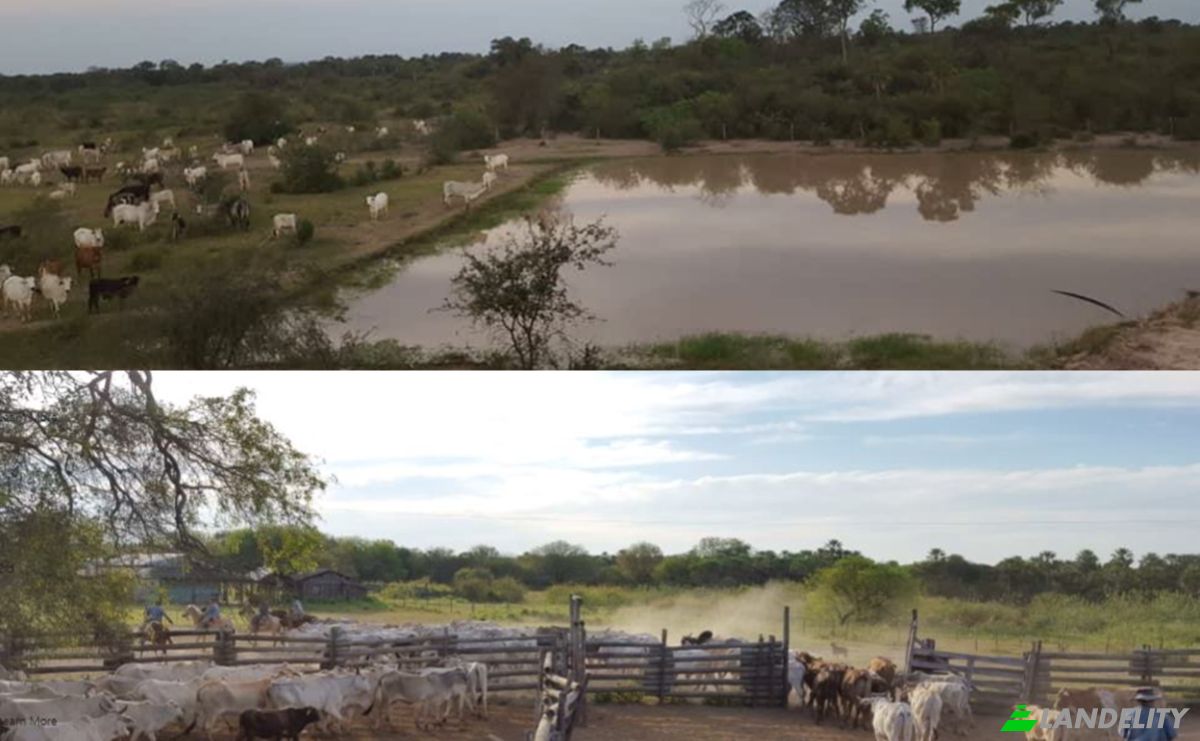 Inwestycje/Rozwój na sprzedaż Zona Ceibo, 150305, Com Indig Riacho San Carlos-Mbokajaty, Puerto Pinasco, Presidente Hayes Department, Paraguay. Zdjęcie 5