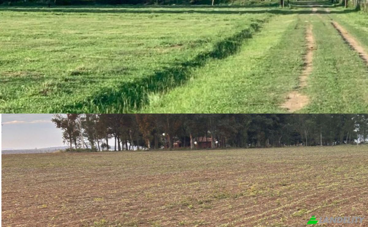 Investing/Development for Sale Via Sin Nombre, 080404, Isla Tacuara, San Miguel, Misiones Department, Paraguay. Photo 2