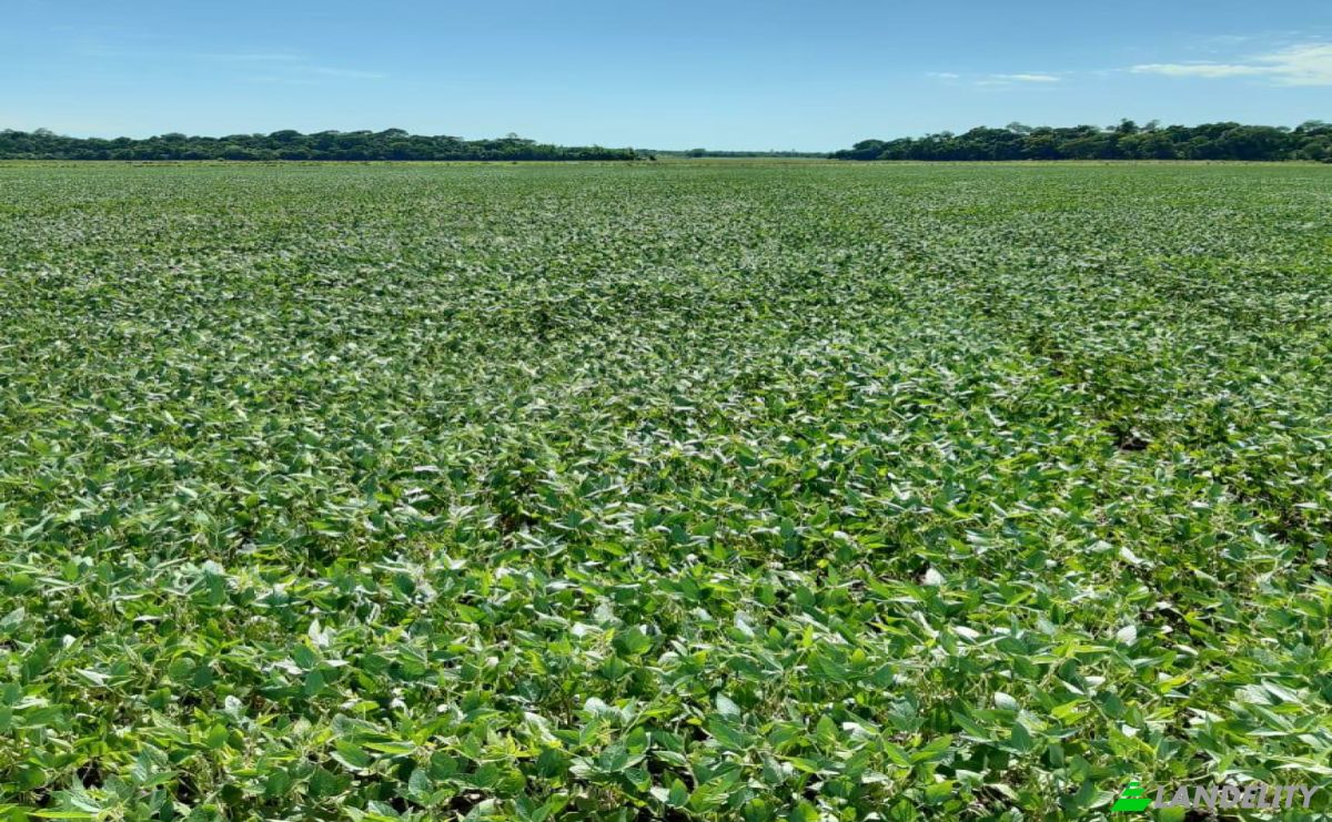 Investing/Development for Sale Via, 070204, Maria Auxiliadora Sub Urbano, Bella Vista, Itapua Department, Paraguay. Photo 11