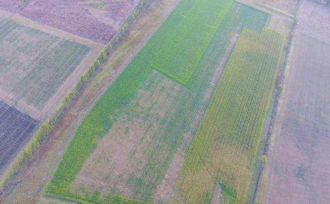 Investing/Development for Sale Via, 070204. Photo#2 Investing/Development for Sale Via, 070204. Photo#2