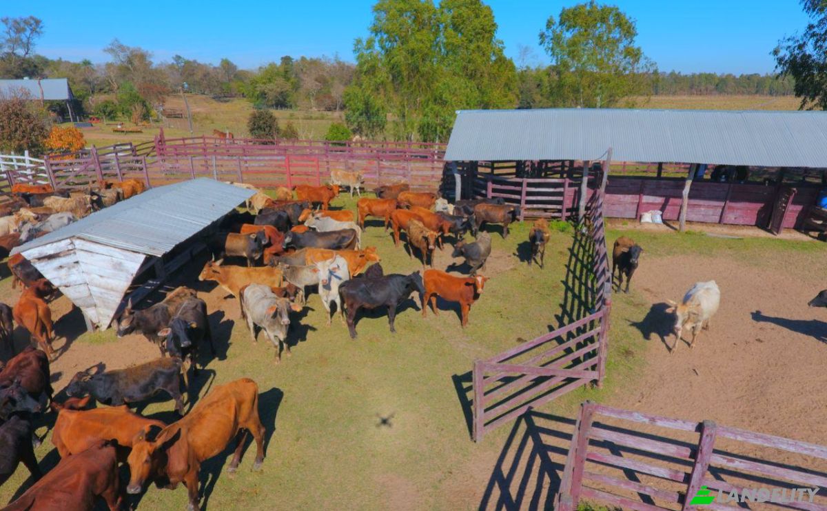Investing/Development for Sale Via, 070204, Maria Auxiliadora Sub Urbano, Bella Vista, Itapua Department, Paraguay. Photo 21