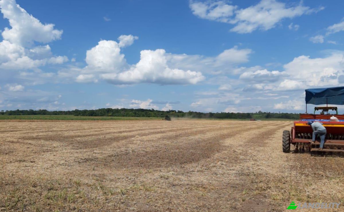 Investing/Development for Sale Via, 070204, Maria Auxiliadora Sub Urbano, Bella Vista, Itapua Department, Paraguay. Photo 8