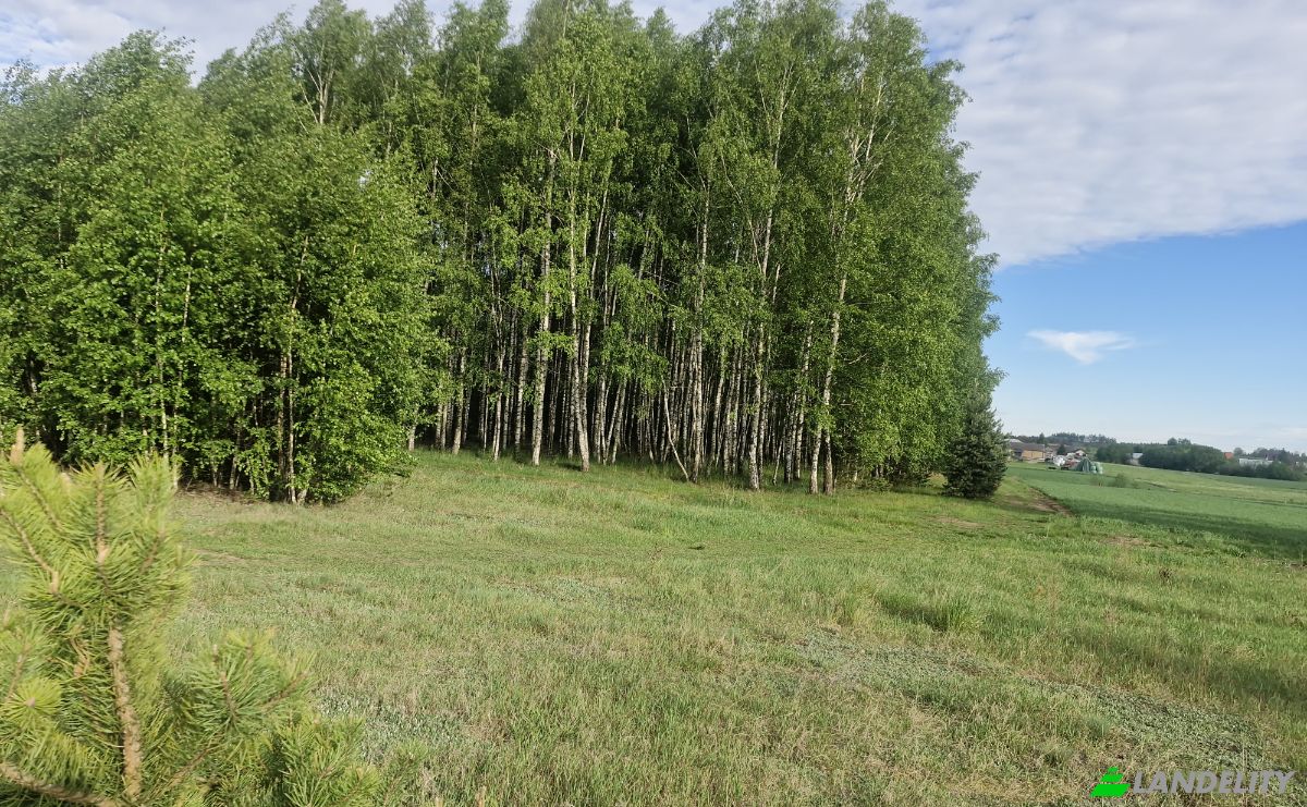 Land Lot for Sale Droga Bez Nazwy, 16-002 PogorzaLki, Rybaki, BiaLystok County, Podlaskie Voivodeship, Poland. Photo 3