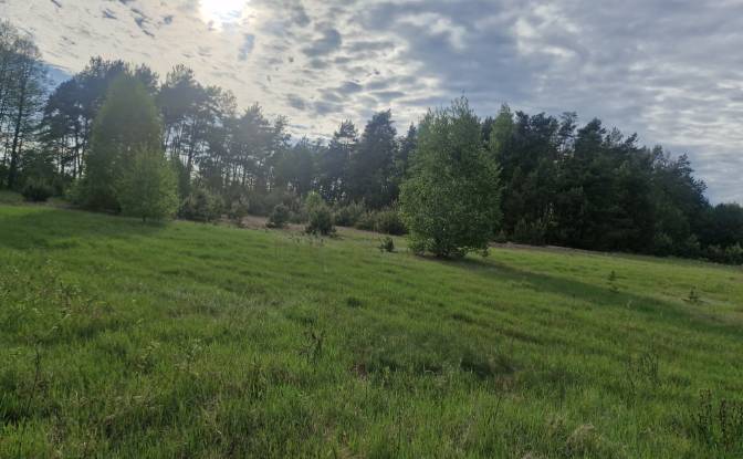 Land Lot for Sale Droga Bez Nazwy. Photo#4 Land Lot for Sale Droga Bez Nazwy. Photo#4