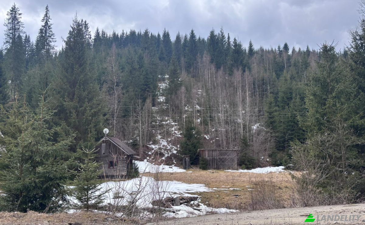 Grondperceel Te koop Drum Fara Nume, Dorna Arini, Dorna-Arini, Suceava County, Romania. Foto 11