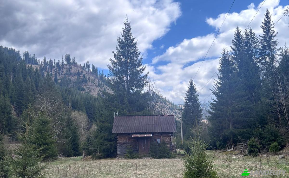 Grondperceel Te koop Drum Fara Nume, Dorna Arini, Dorna-Arini, Suceava County, Romania. Foto 3