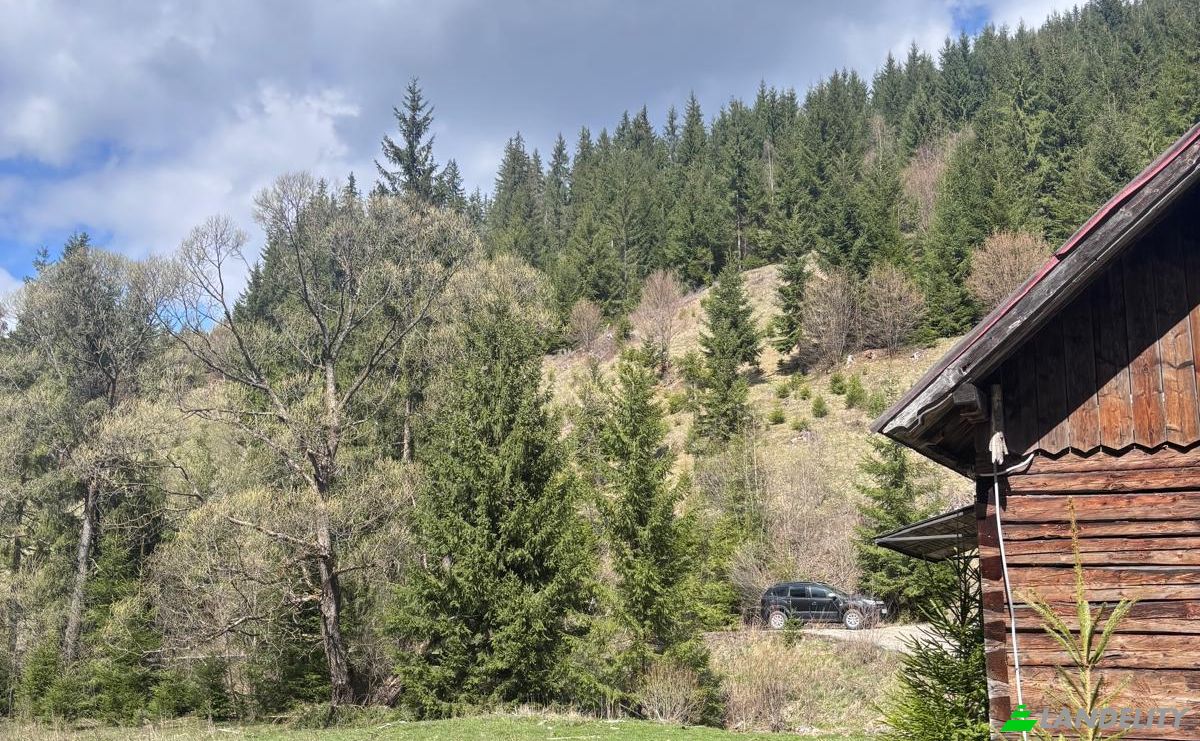 Grondperceel Te koop Drum Fara Nume, Dorna Arini, Dorna-Arini, Suceava County, Romania. Foto 5