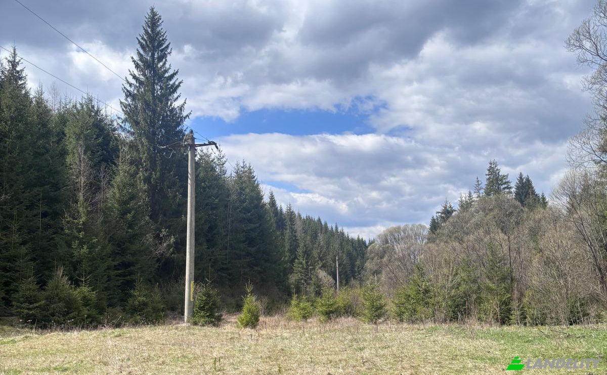 Grondperceel Te koop Drum Fara Nume, Dorna Arini, Dorna-Arini, Suceava County, Romania. Foto 7