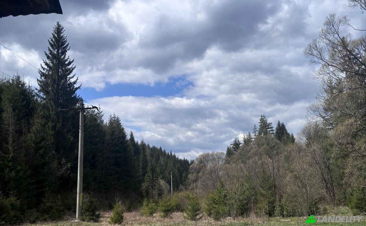Grondperceel Te koop Drum Fara Nume, Dorna Arini, Dorna-Arini, Suceava County, Romania. Foto 8