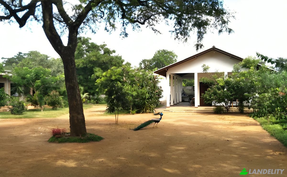 Locanda/Rifugio in vendita Moragaswewa, Polonnaruwa, North Central Province, Sri Lanka. Foto 2