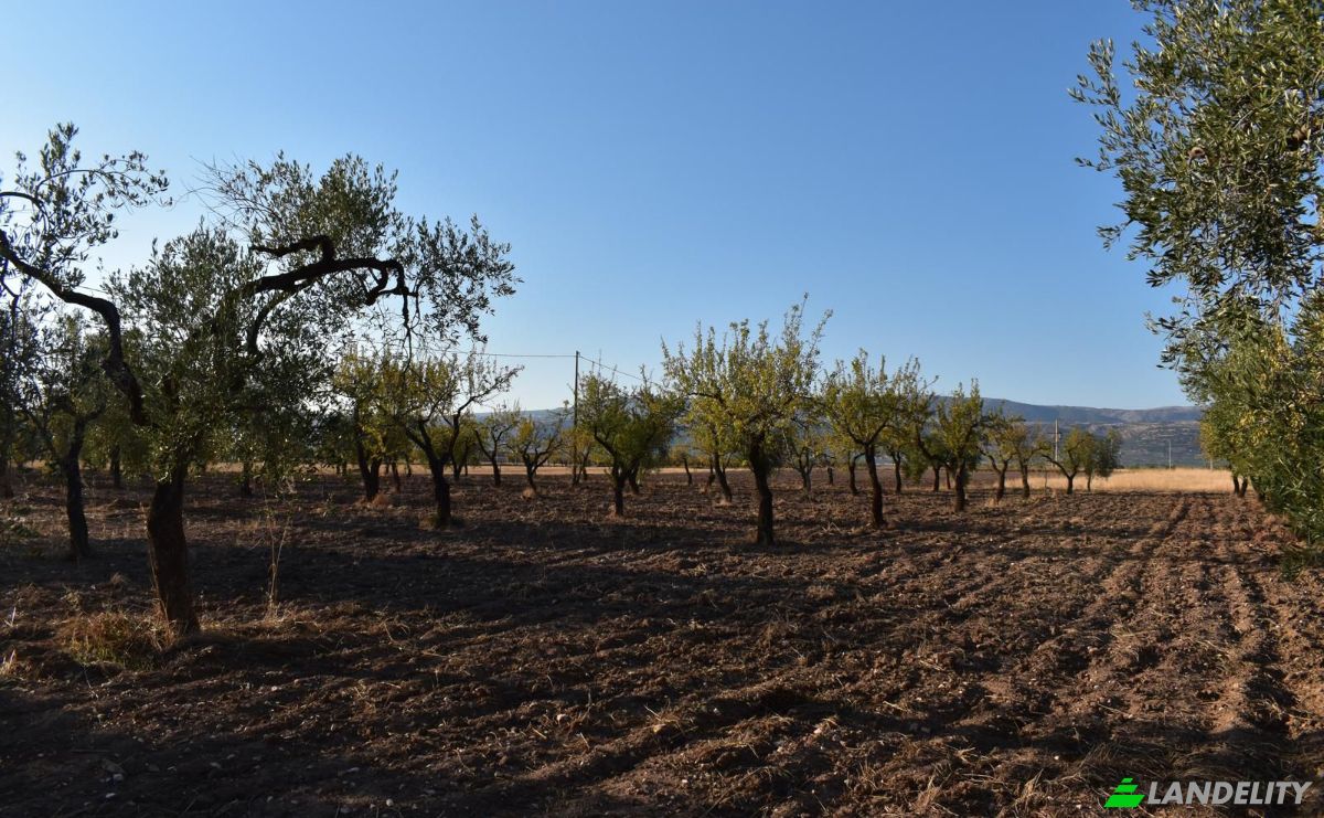 Farm/Ranch for Sale Strada Senza Nome, 71013 San Giovanni Rotondo FG, San Giovanni Rotondo, Province of Foggia, Apulia, Italy. Photo 14