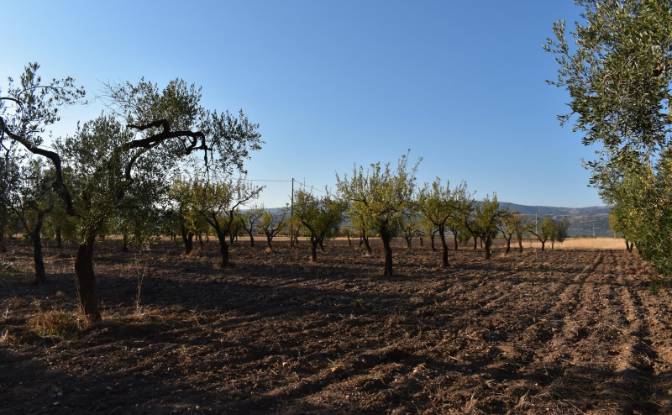 Farm/Ranch for Sale Strada Senza Nome. Photo#14