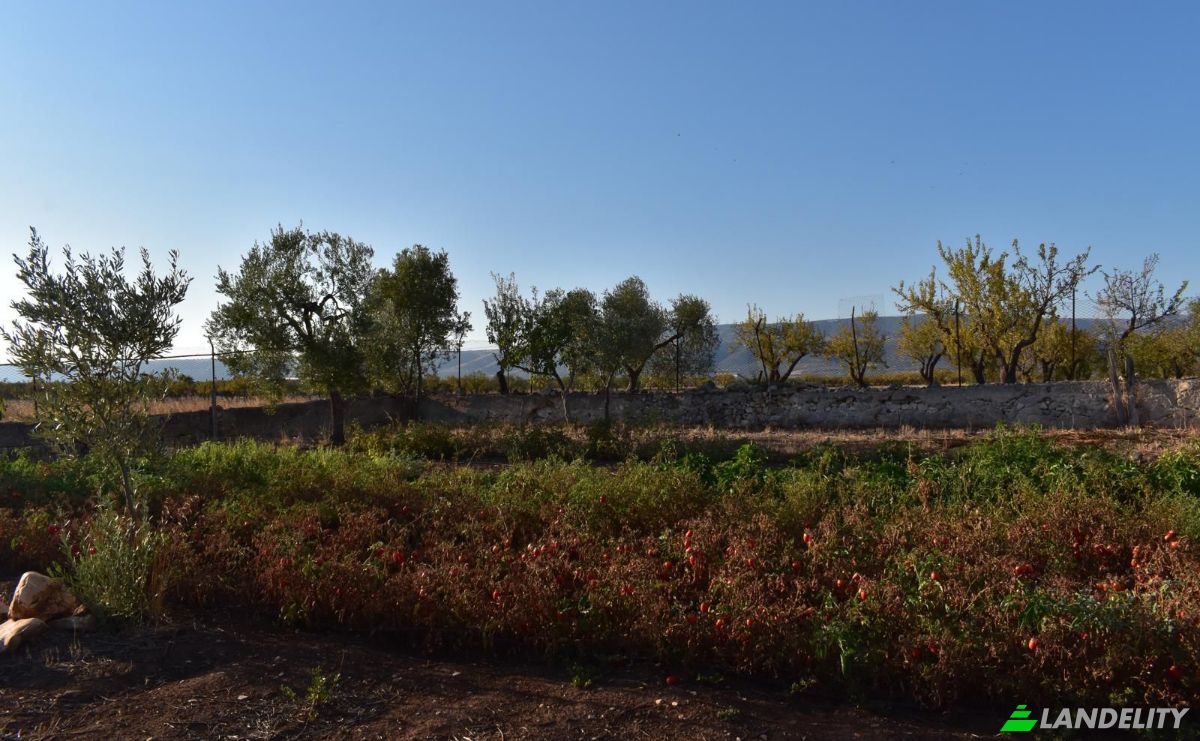 Farm/Ranch for Sale Strada Senza Nome, 71013 San Giovanni Rotondo FG, San Giovanni Rotondo, Province of Foggia, Apulia, Italy. Photo 15