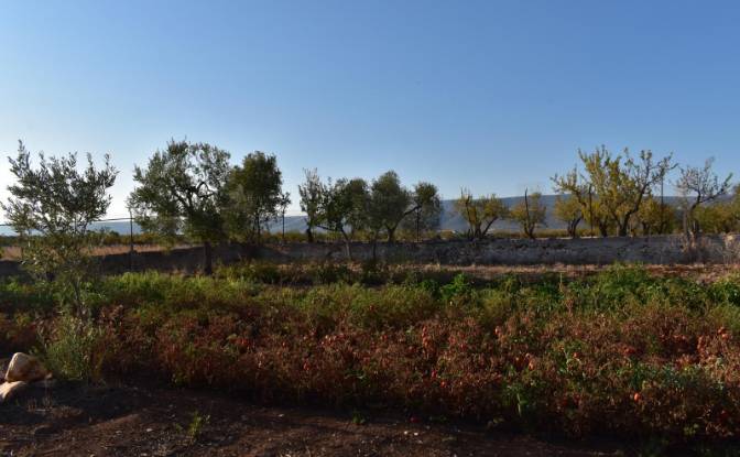 Farm/Ranch for Sale Strada Senza Nome. Photo#15