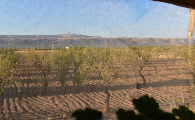Farm/Ranch for Sale Strada Senza Nome. Photo#16