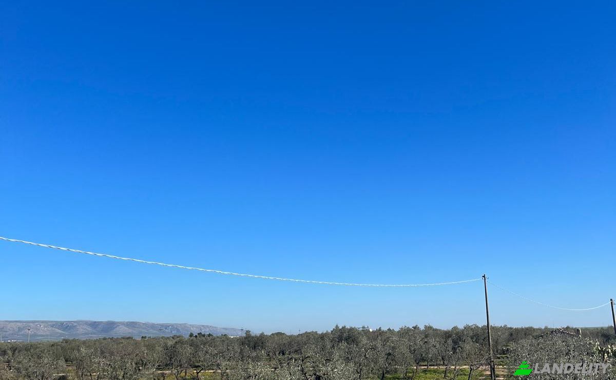Farm/Ranch for Sale Strada Senza Nome, 71013 San Giovanni Rotondo FG, San Giovanni Rotondo, Province of Foggia, Apulia, Italy. Photo 21