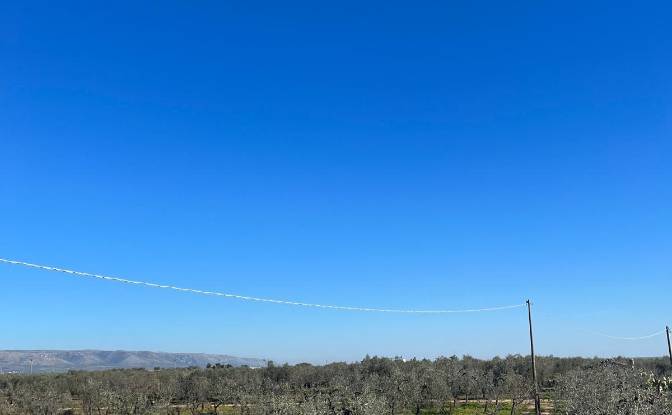 Farm/Ranch for Sale Strada Senza Nome. Photo#21