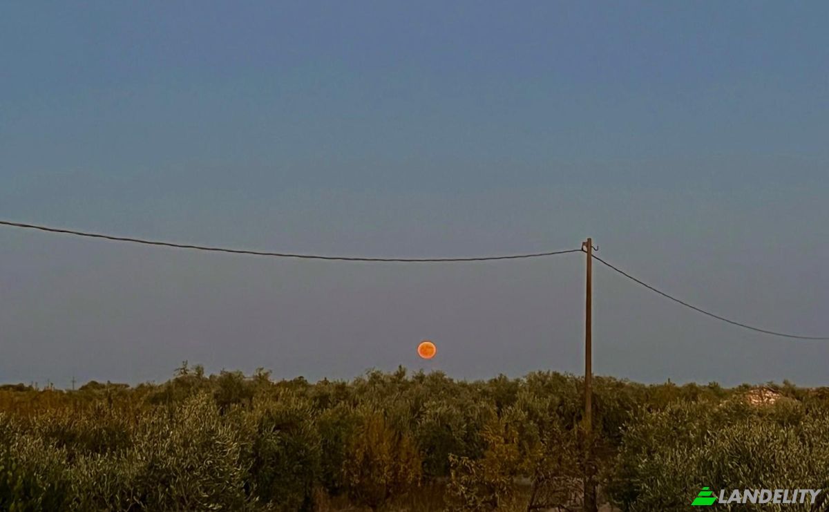 Farm/Ranch for Sale Strada Senza Nome, 71013 San Giovanni Rotondo FG, San Giovanni Rotondo, Province of Foggia, Apulia, Italy. Photo 22