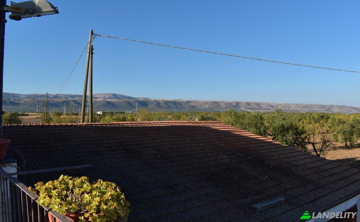 Farm/Ranch for Sale Strada Senza Nome, 71013 San Giovanni Rotondo FG, San Giovanni Rotondo, Province of Foggia, Apulia, Italy. Photo 9
