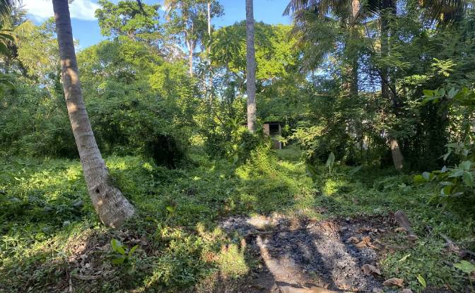 Land Lot for Sale - Ahangama, Sri Lanka