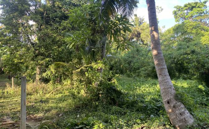 Land Lot for Sale Ahangama, Galle. Photo#2
