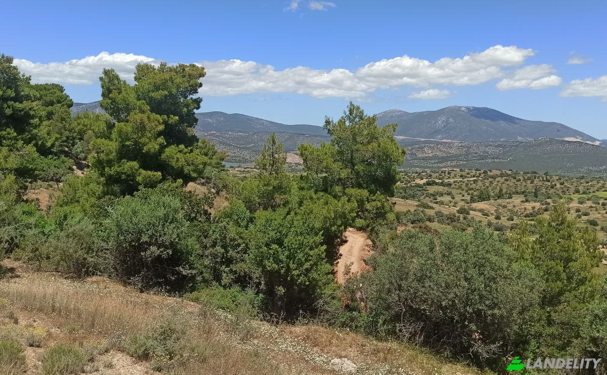 Działka na sprzedaż Ermionida 213 00, Kranidi, Peloponnese Region, Decentralized Administration of Peloponnese, Western Greece and the Ionian, Greece. Zdjęcie 2