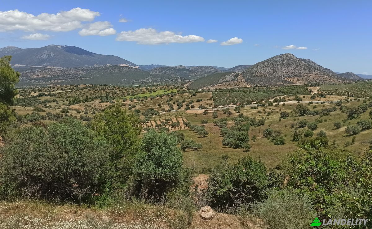 Działka na sprzedaż Ermionida 213 00, Kranidi, Peloponnese Region, Decentralized Administration of Peloponnese, Western Greece and the Ionian, Greece. Zdjęcie 3