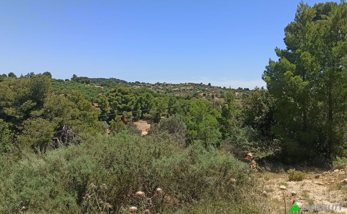 Działka na sprzedaż Ermionida 213 00, Kranidi, Peloponnese Region, Decentralized Administration of Peloponnese, Western Greece and the Ionian, Greece. Zdjęcie 4