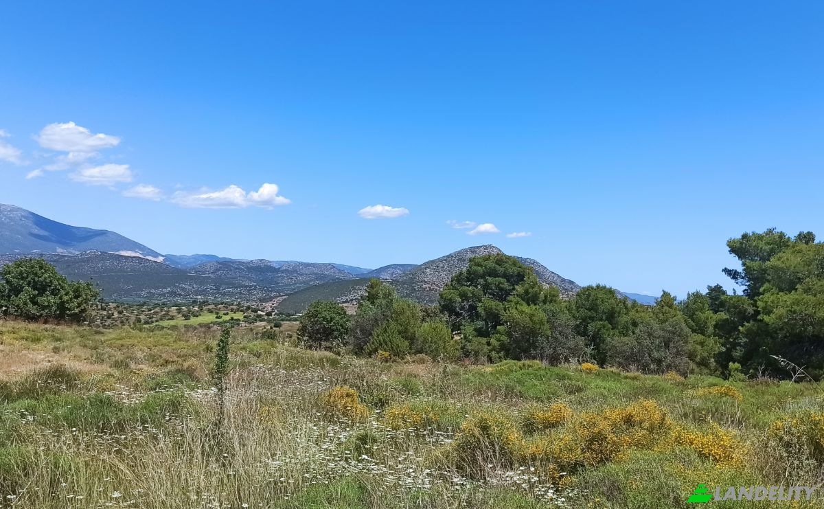 Działka na sprzedaż Ermionida 213 00, Kranidi, Peloponnese Region, Decentralized Administration of Peloponnese, Western Greece and the Ionian, Greece. Zdjęcie 5