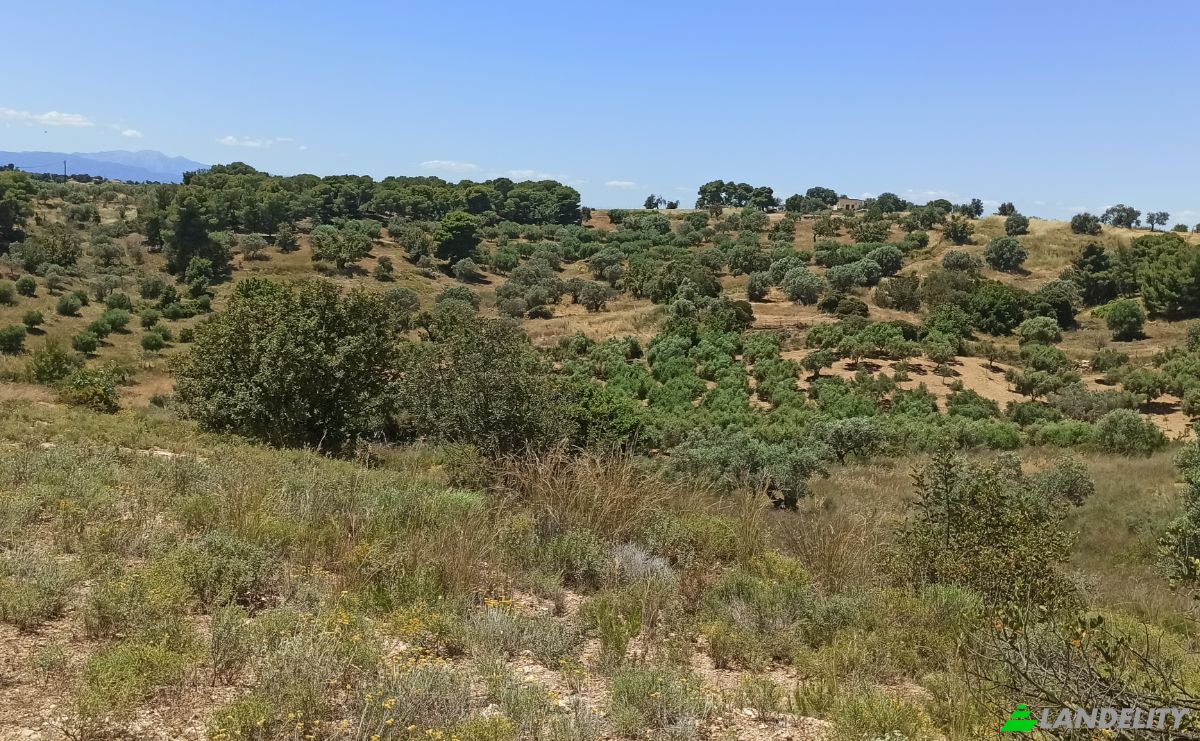 Działka na sprzedaż Ermionida 213 00, Kranidi, Peloponnese Region, Decentralized Administration of Peloponnese, Western Greece and the Ionian, Greece. Zdjęcie 6
