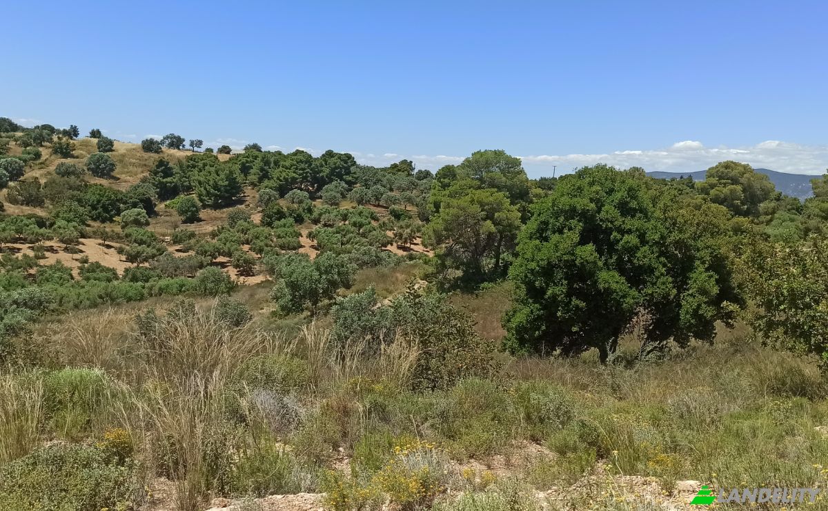 Działka na sprzedaż Ermionida 213 00, Kranidi, Peloponnese Region, Decentralized Administration of Peloponnese, Western Greece and the Ionian, Greece. Zdjęcie 7