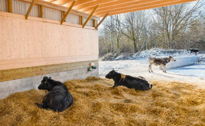 Farm/Ranch for Sale Byvagen, 568 92 Skillingaryd. Photo#24